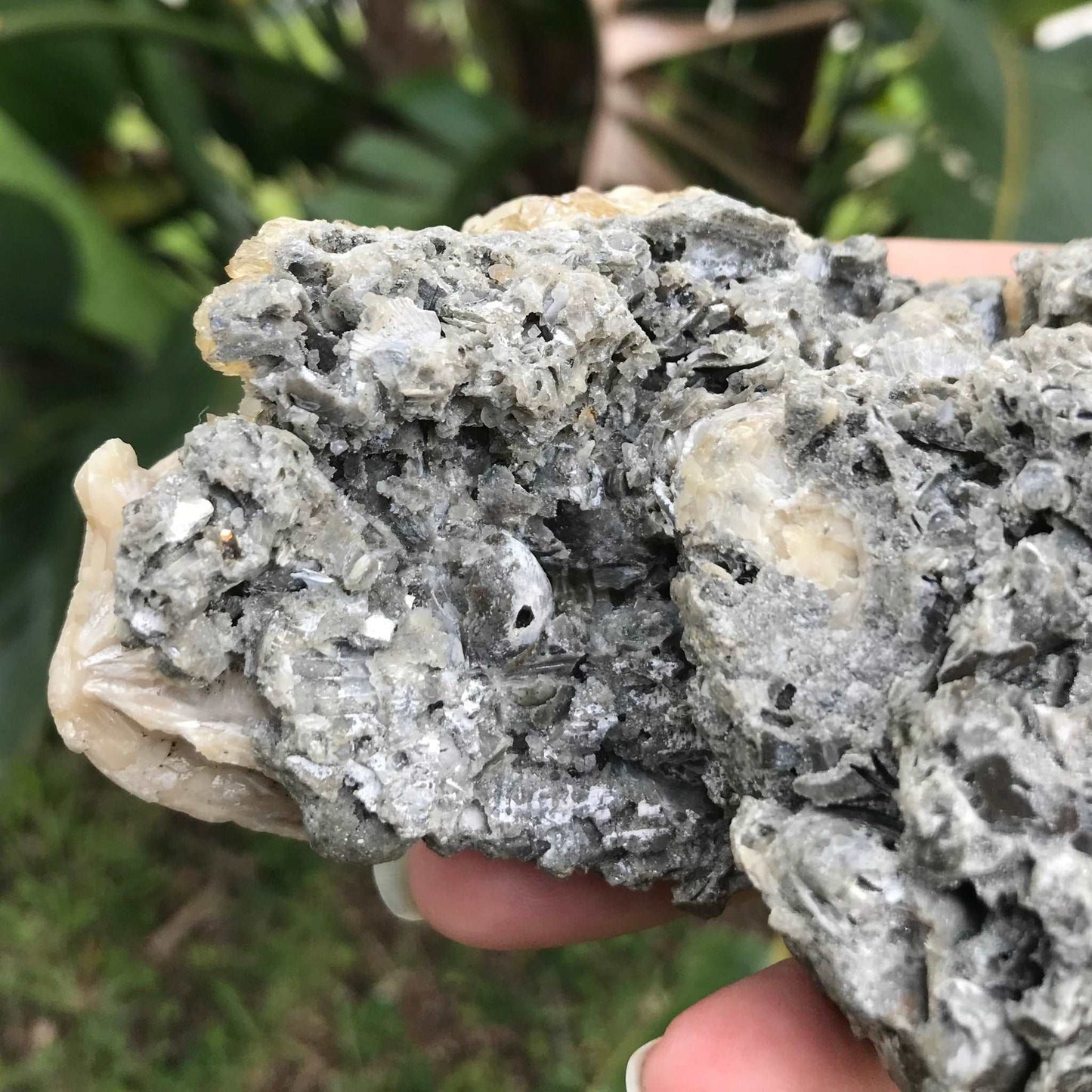 Honey Calcite Crystals in Fossilized Clam Shell