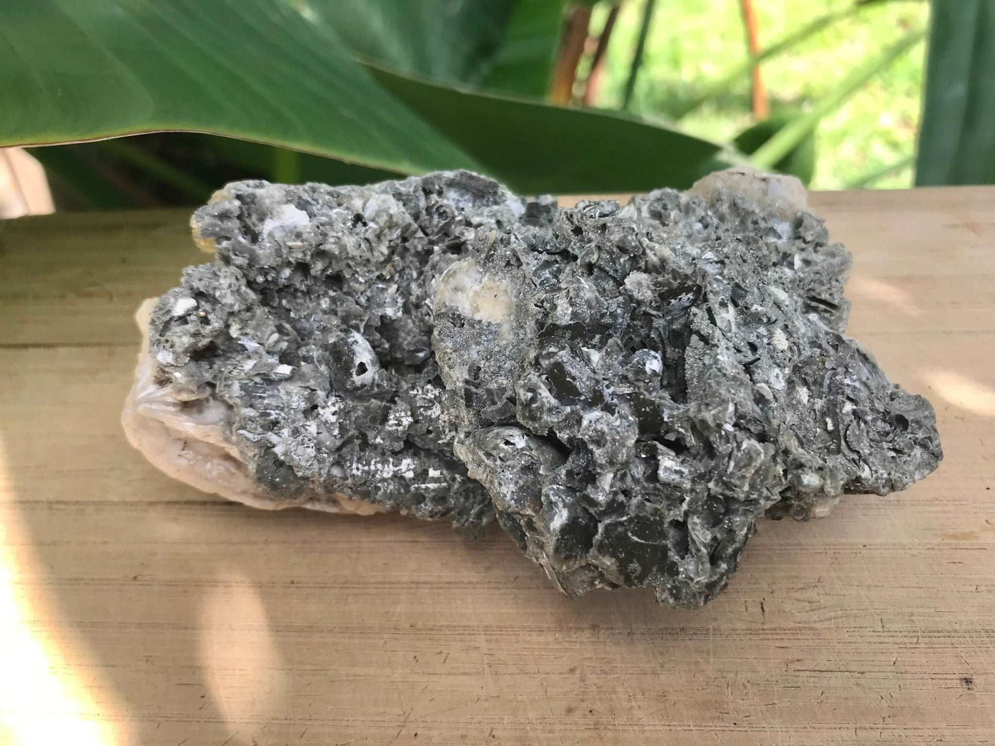 Honey Calcite Crystals in Fossilized Clam Shell