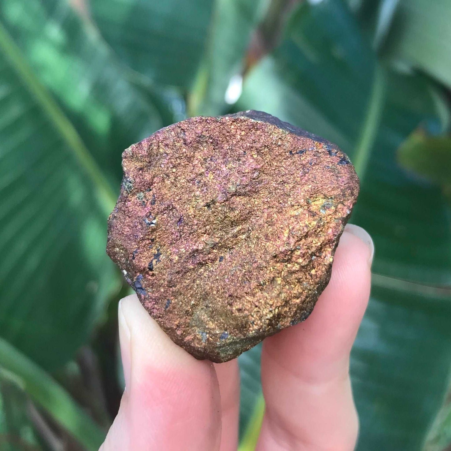 Peacock Ore - Rainbow Stone
