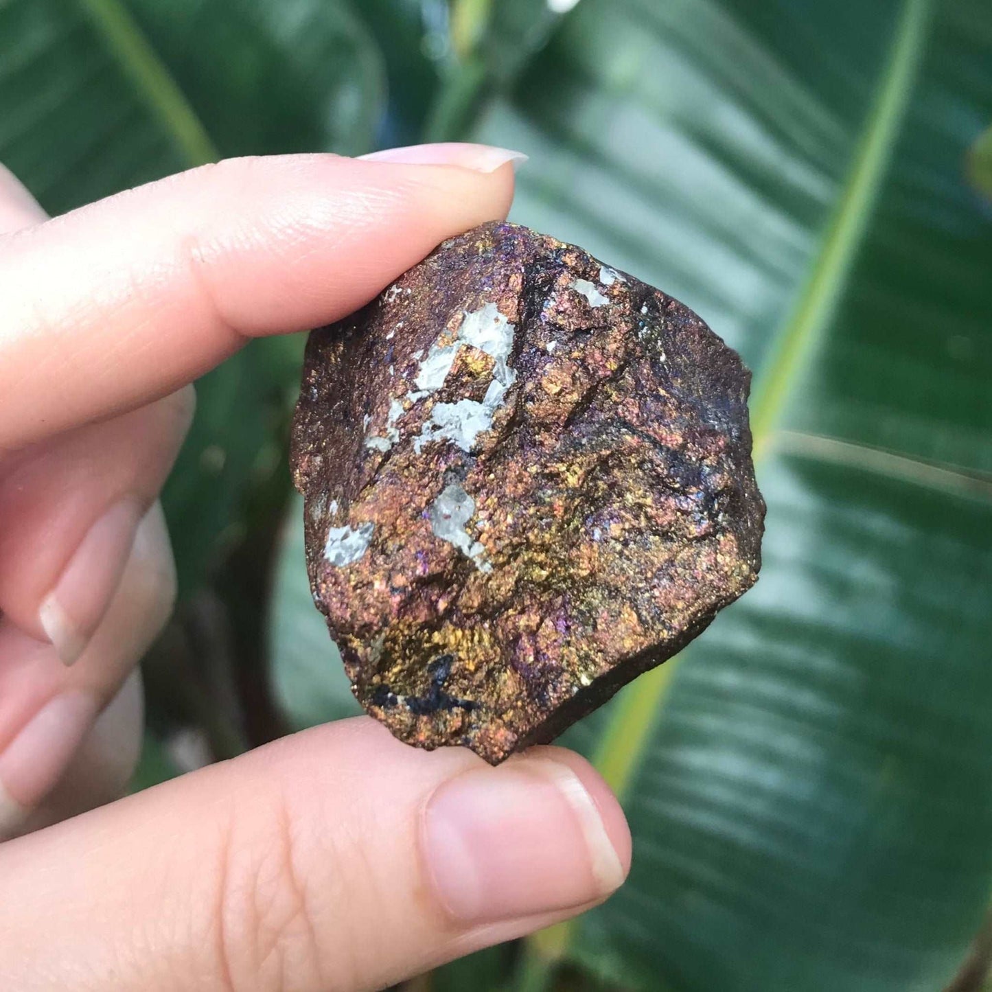 Peacock Ore - Rainbow Stone