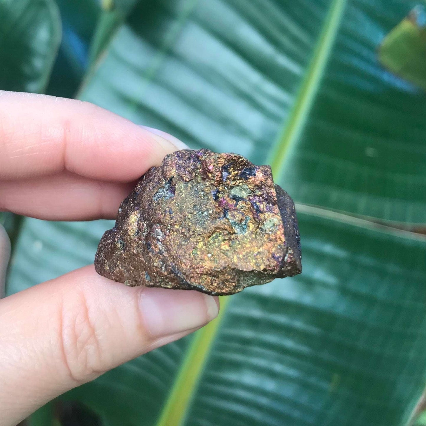Peacock Ore - Rainbow Stone