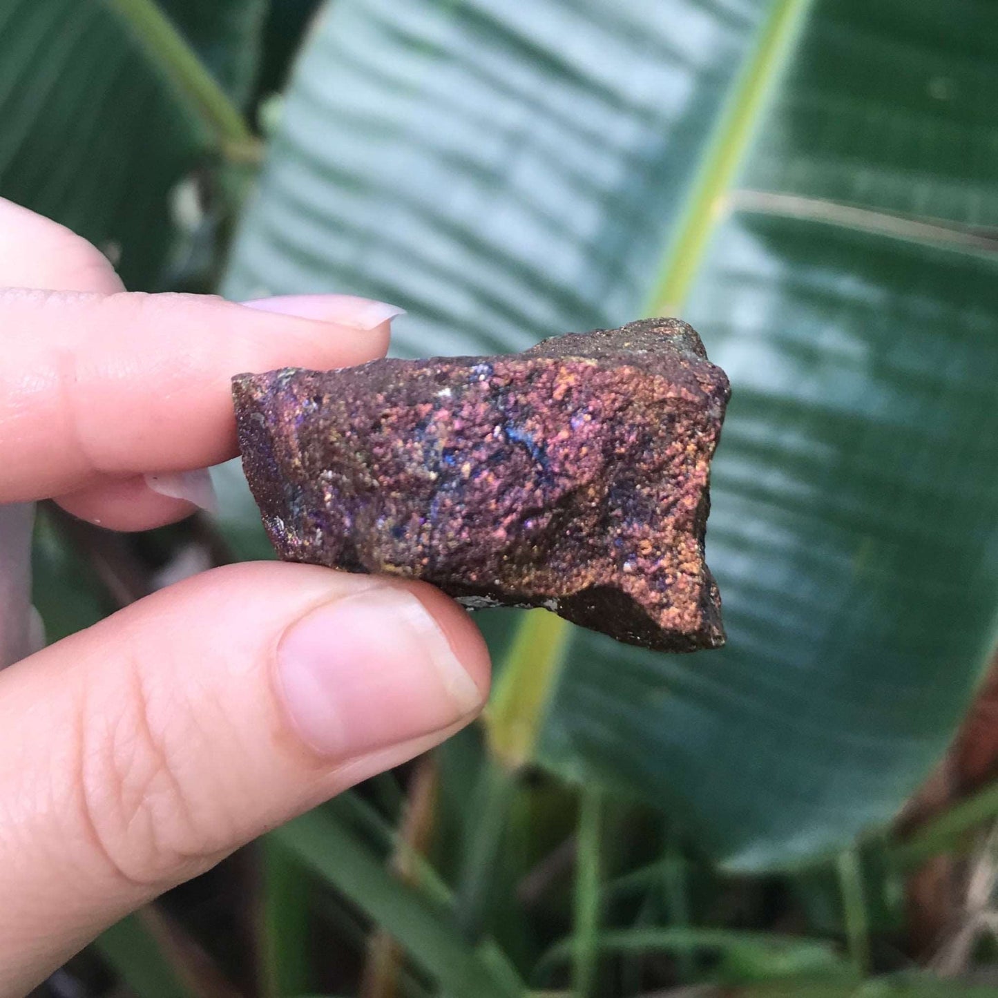 Peacock Ore - Rainbow Stone