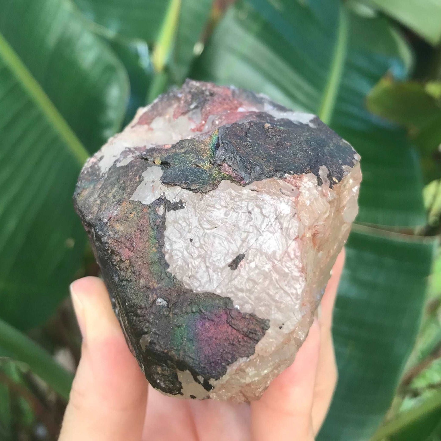 Iridescent Goethite Hematite Quartz Crystal with Rainbows