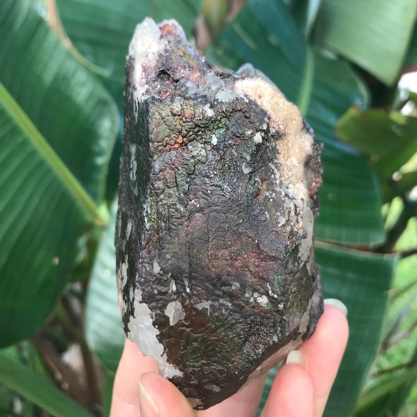 Iridescent Goethite Hematite Quartz Crystal with Rainbows
