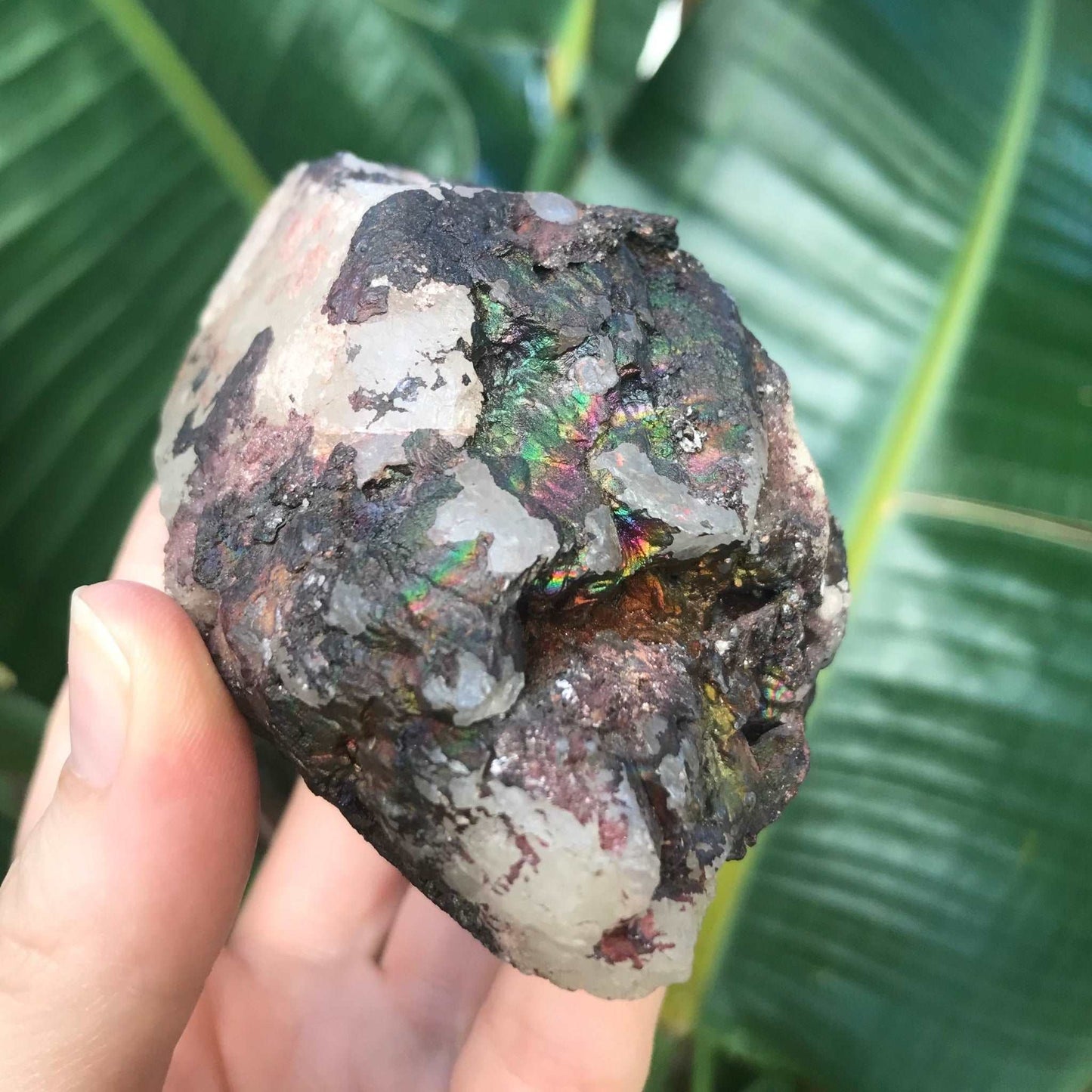 Iridescent Goethite Hematite Quartz Crystal with Rainbows