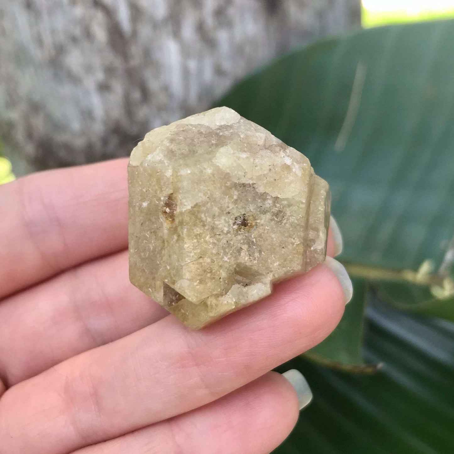 Green Grossular Garnet Crystal - Raw