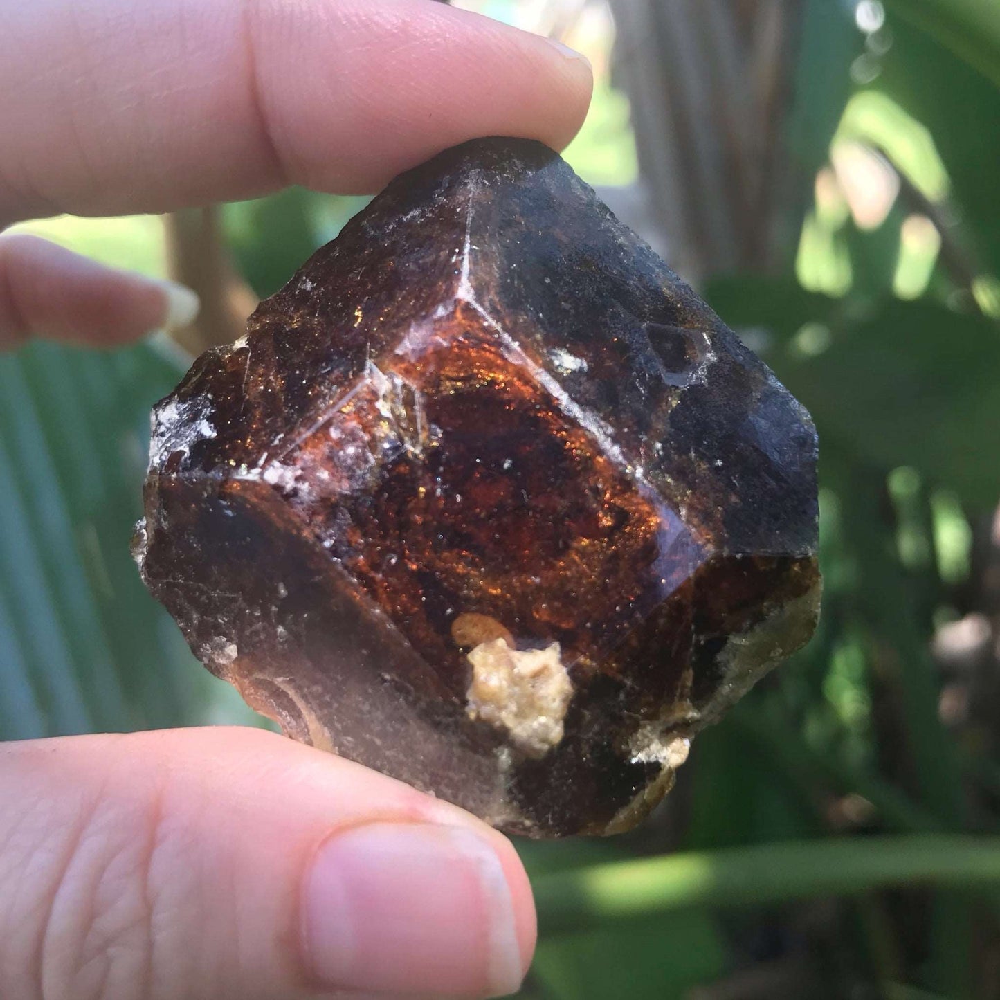 Natural Andradite Garnet Crystal