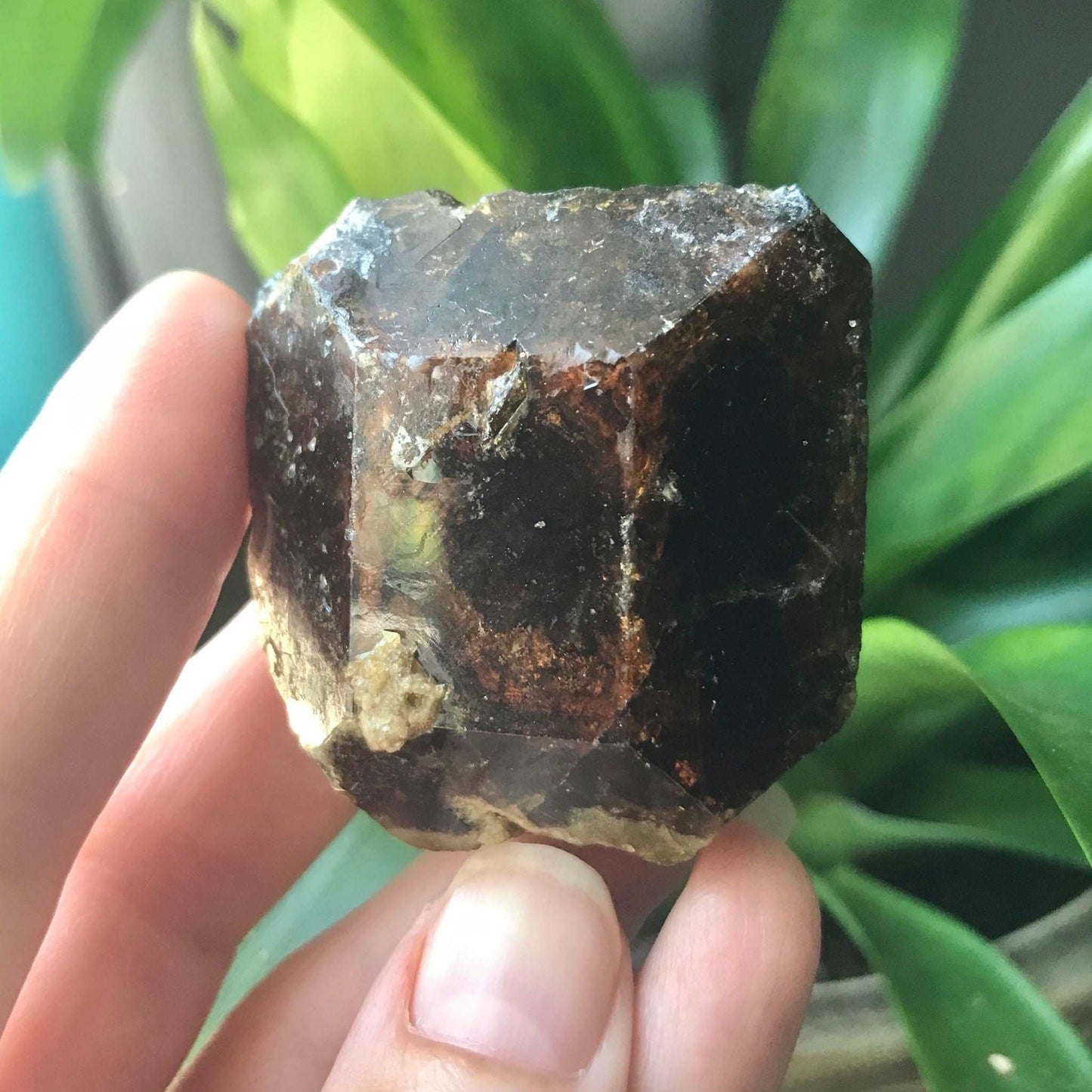 Natural Andradite Garnet Crystal