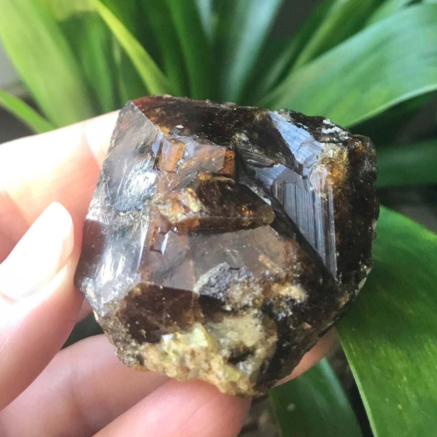 Natural Andradite Garnet Crystal