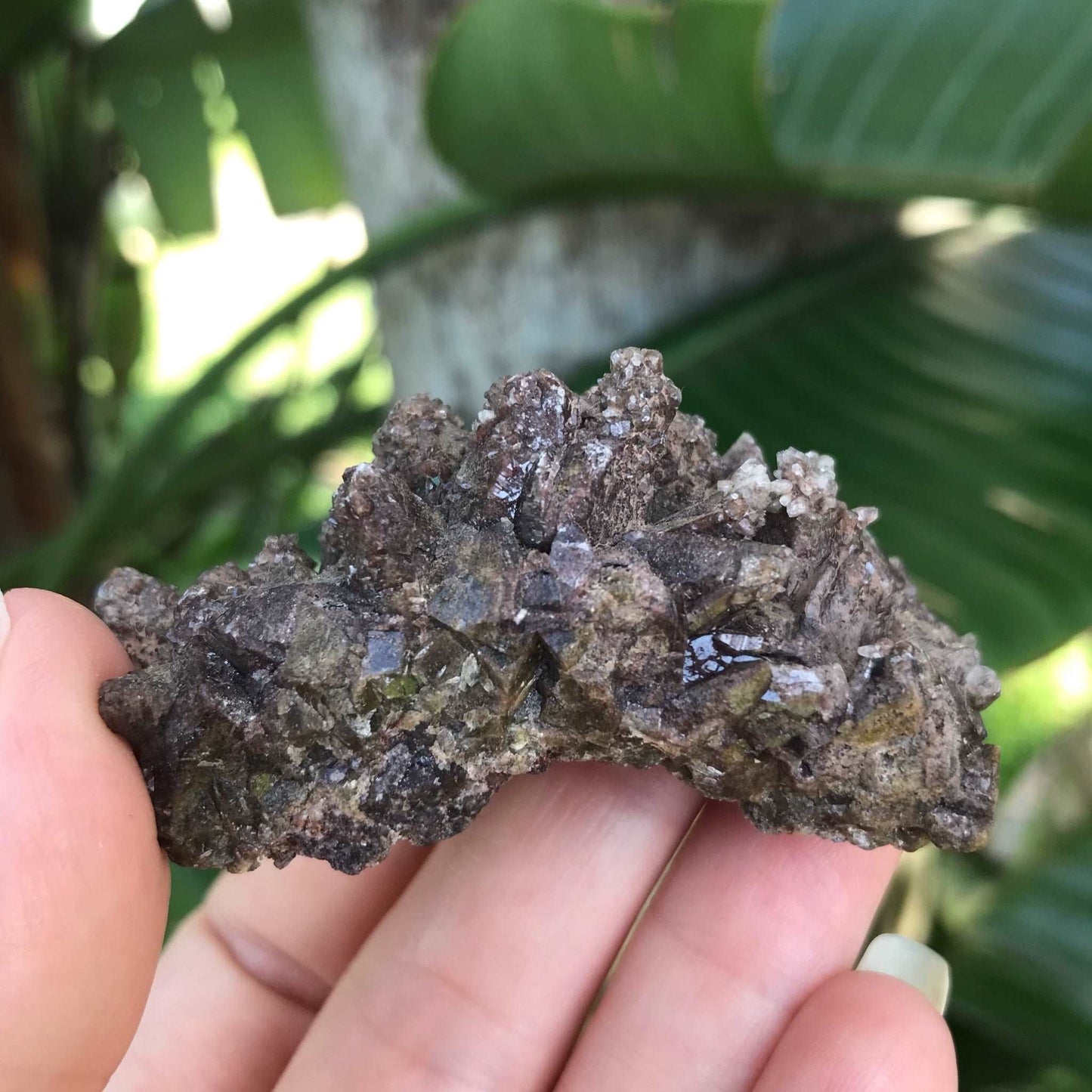 Dogtooth Calcite Crystal Cluster