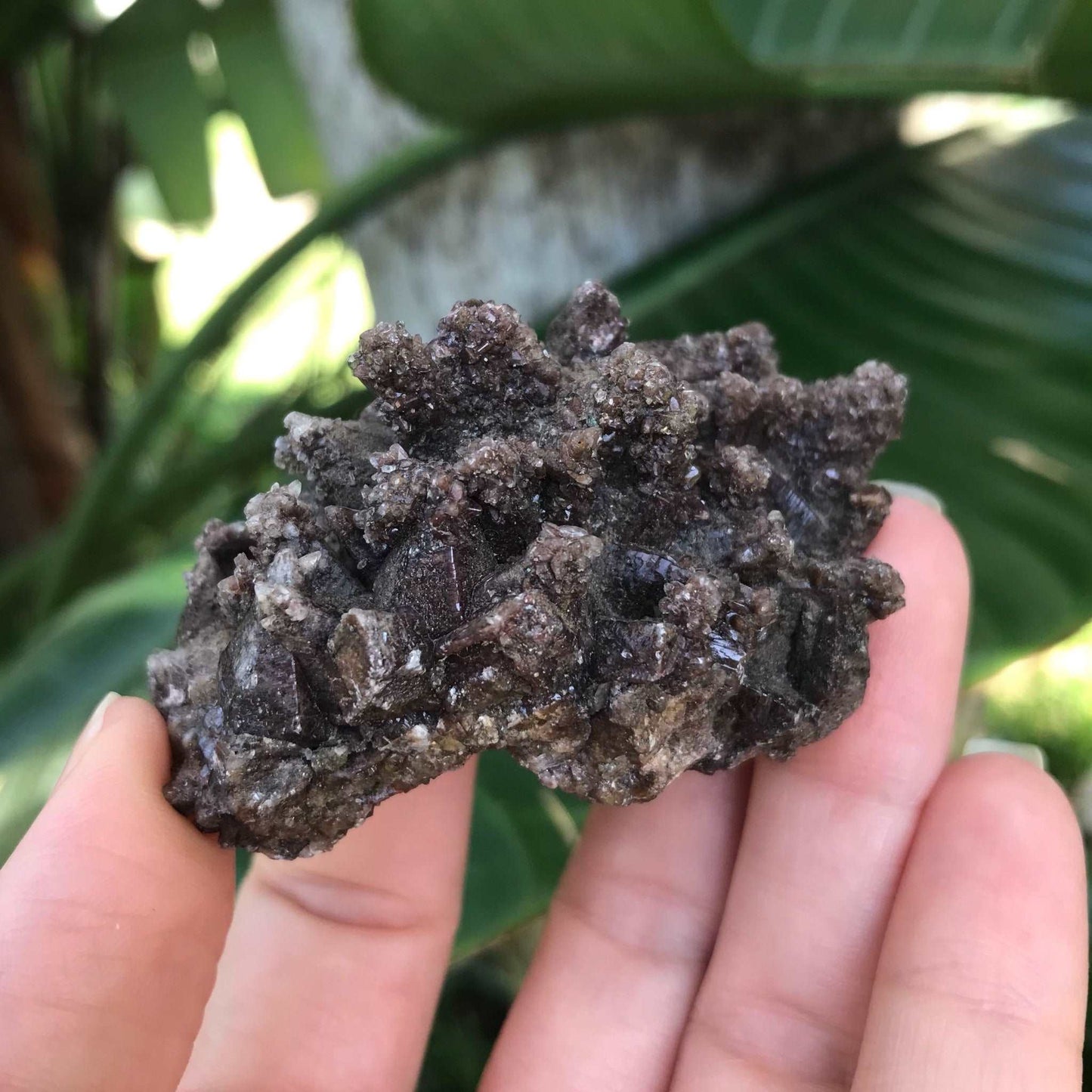 Dogtooth Calcite Crystal Cluster