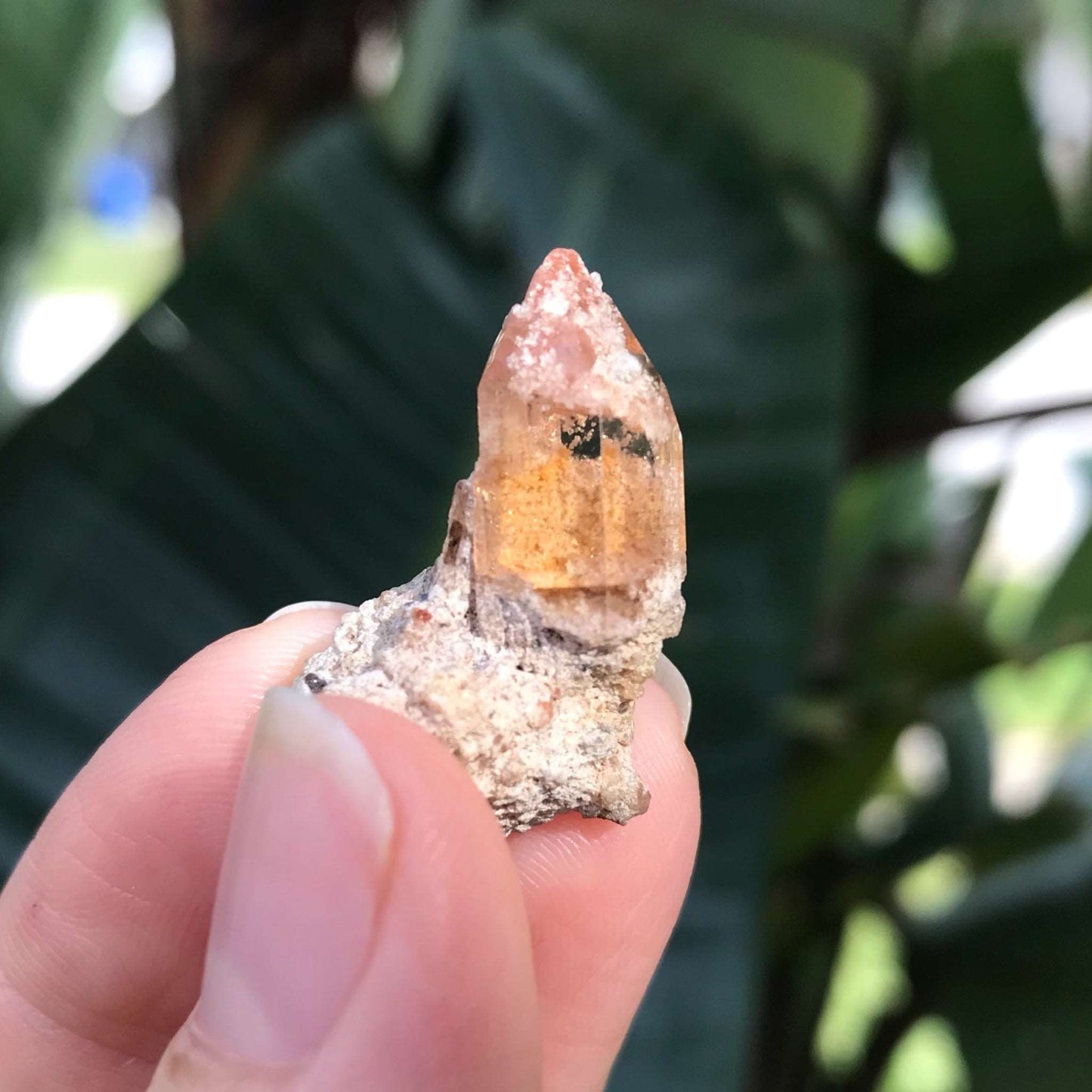 Champagne Topaz Crystal - Raw