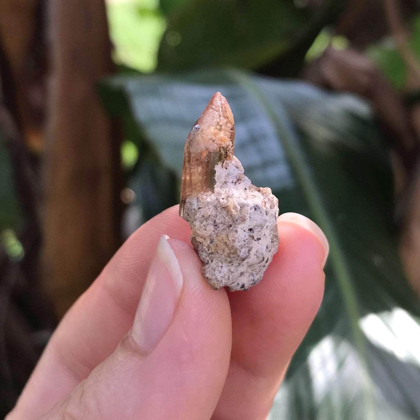 Champagne Topaz Crystal - Raw