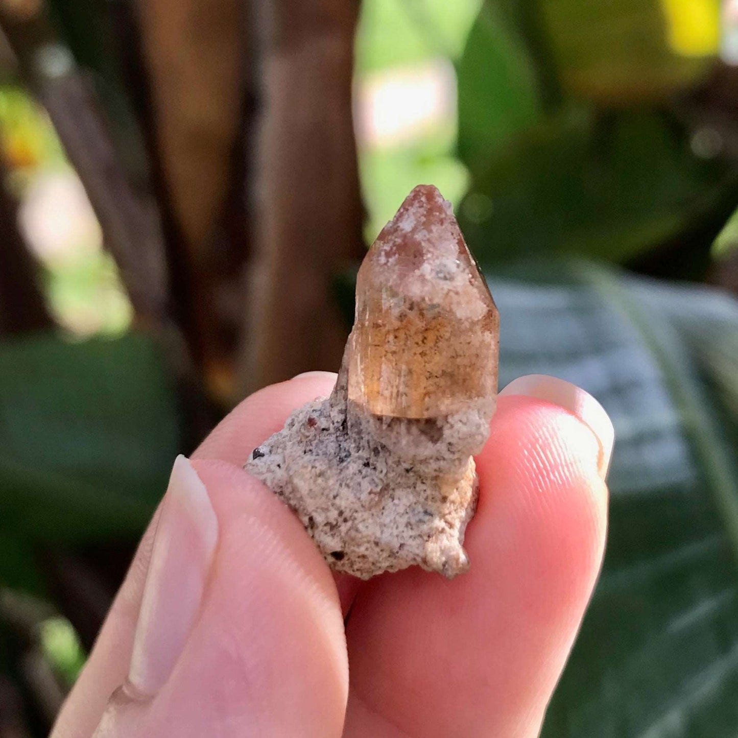 Champagne Topaz Crystal - Raw