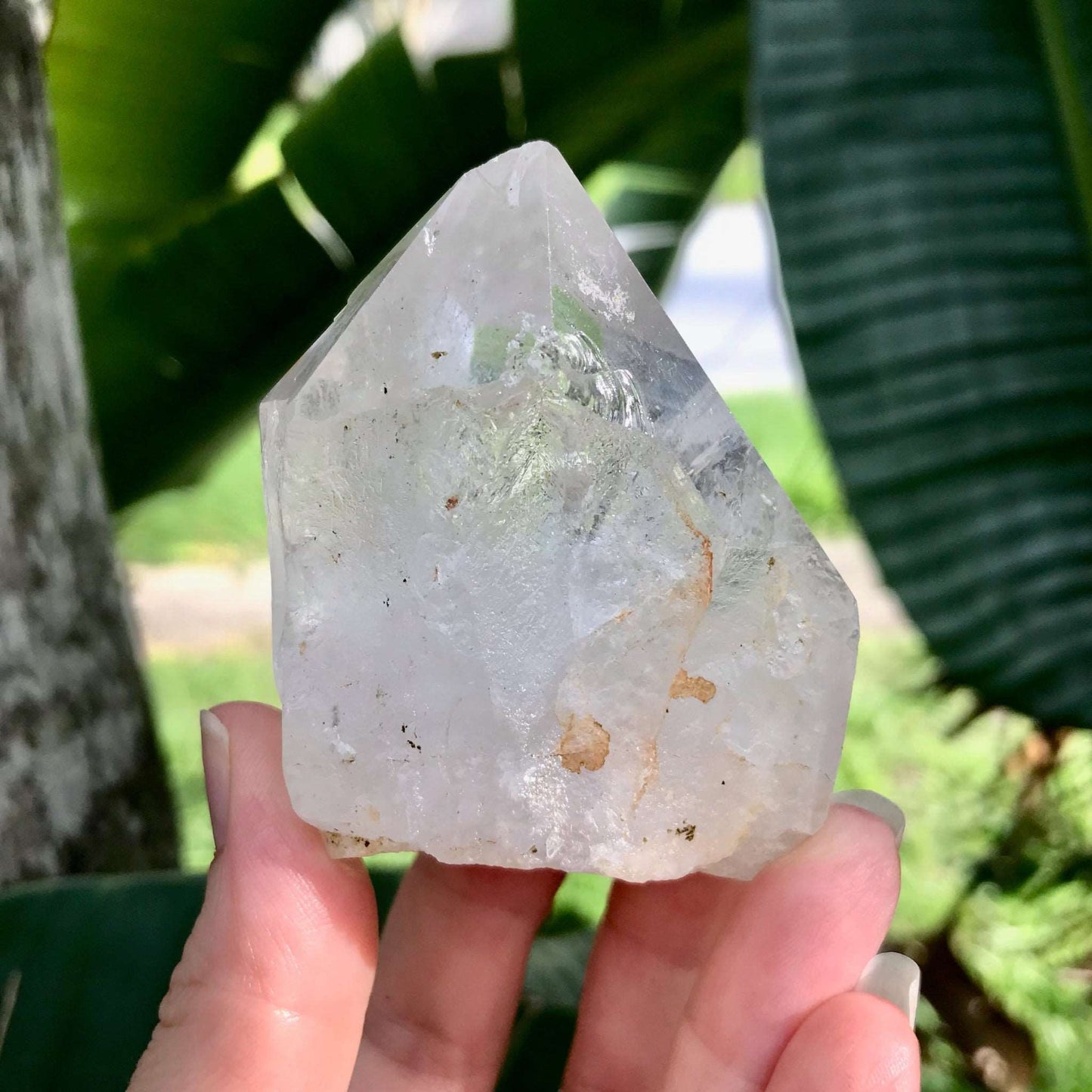 Clear Quartz Crystal with Terminated Point