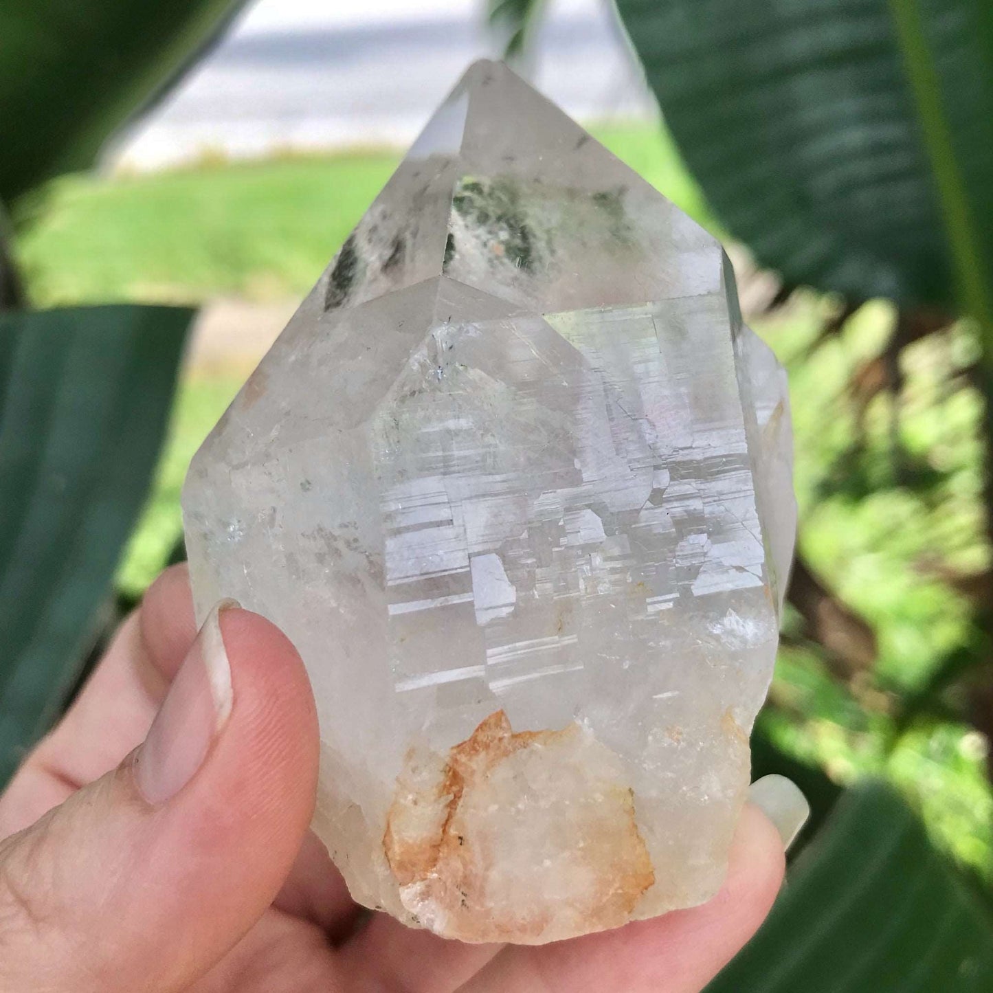 Clear Quartz Crystal with Terminated Point