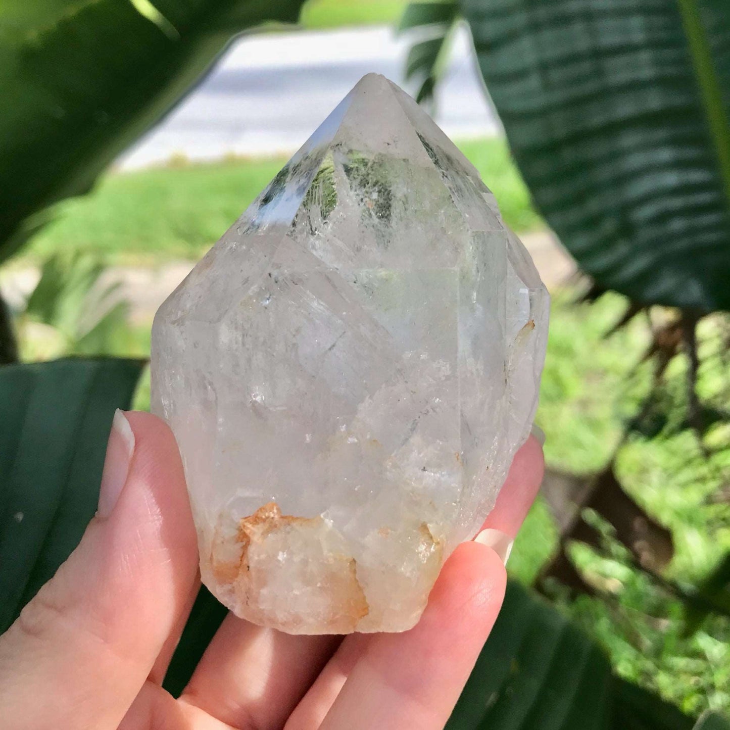 Clear Quartz Crystal with Terminated Point