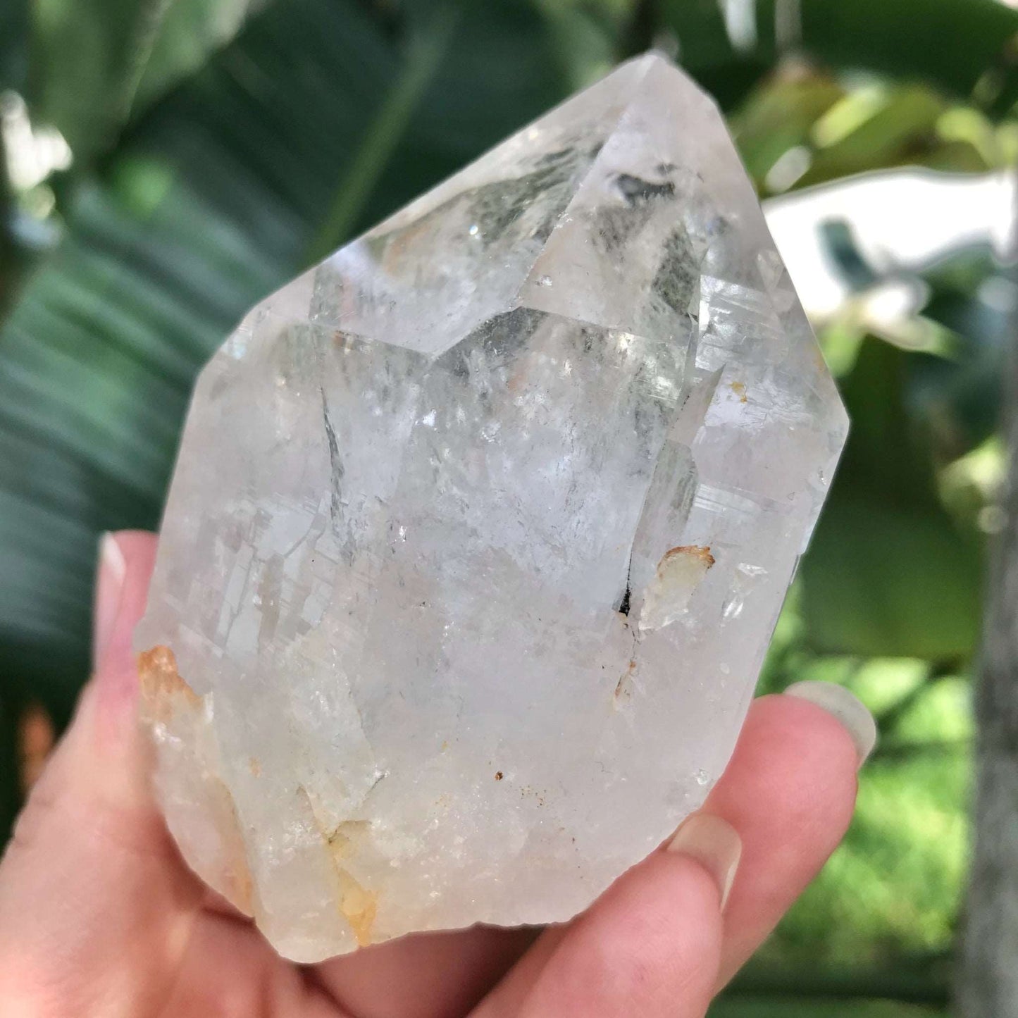 Clear Quartz Crystal with Terminated Point