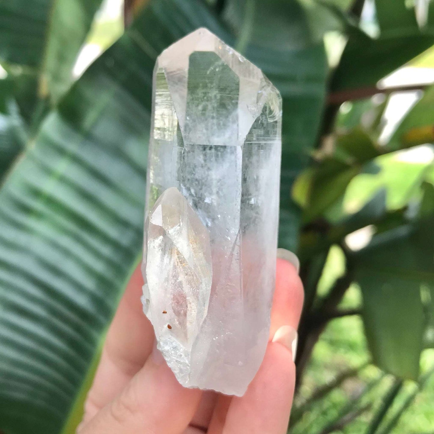 Clear Quartz Crystal with Two Terminated Points