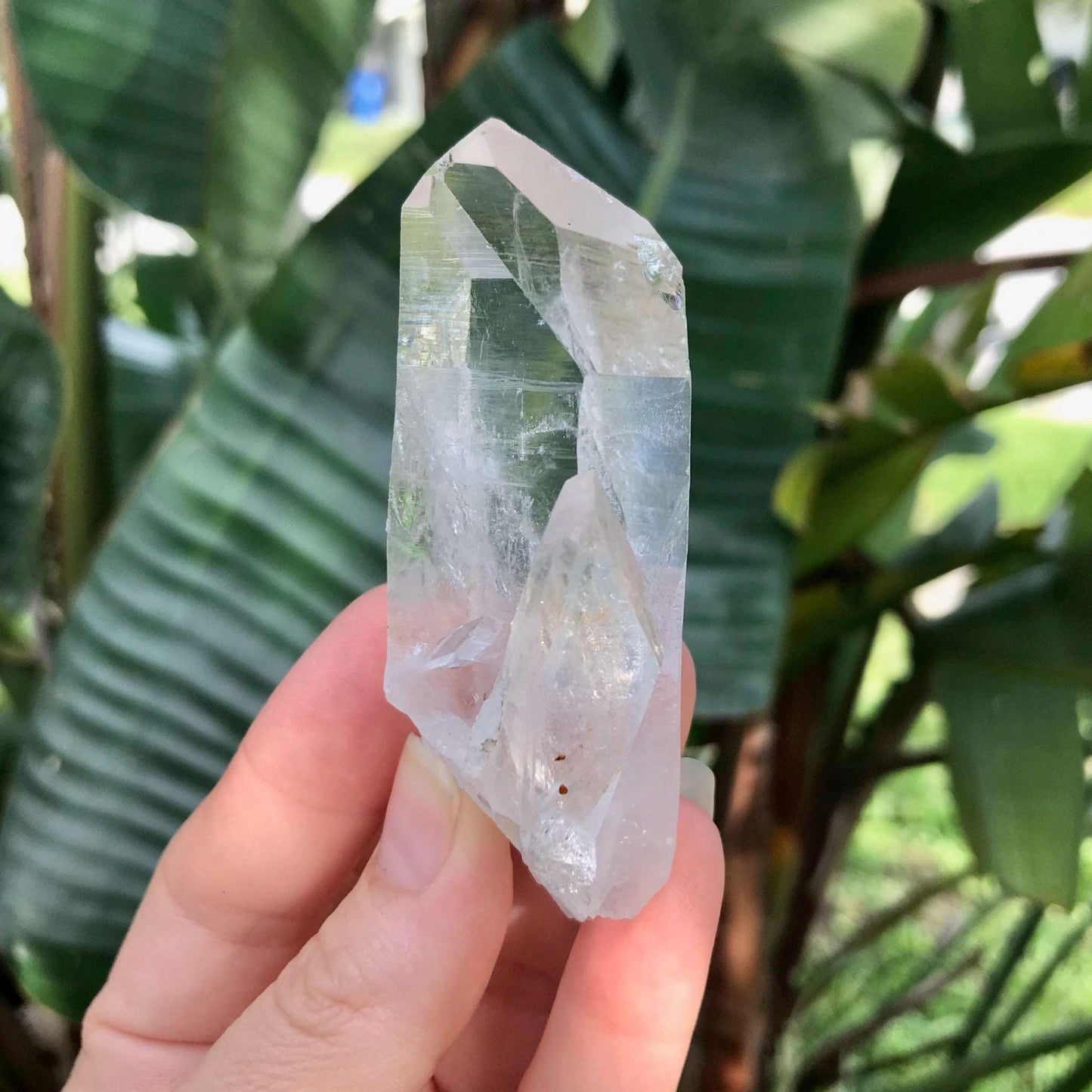 Clear Quartz Crystal with Two Terminated Points