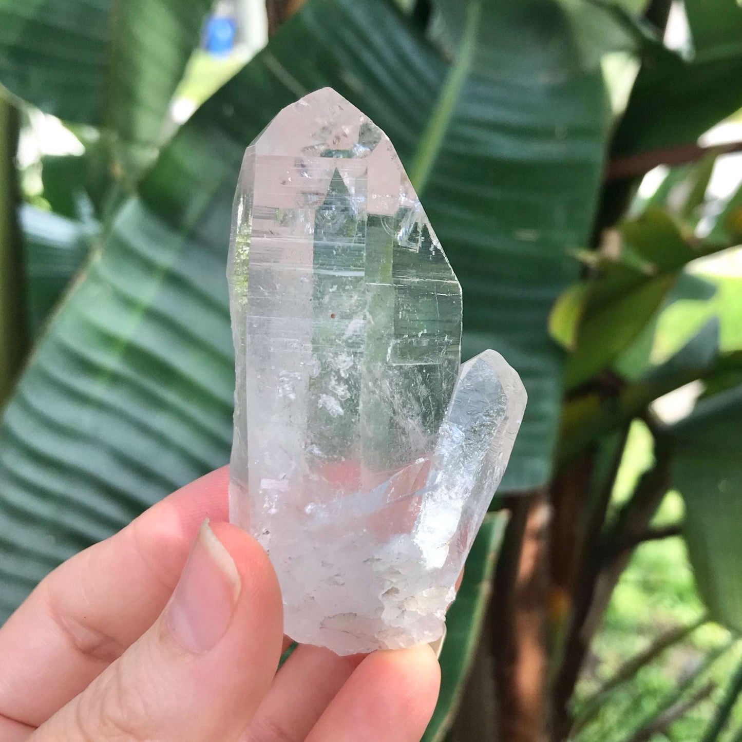 Clear Quartz Crystal with Two Terminated Points