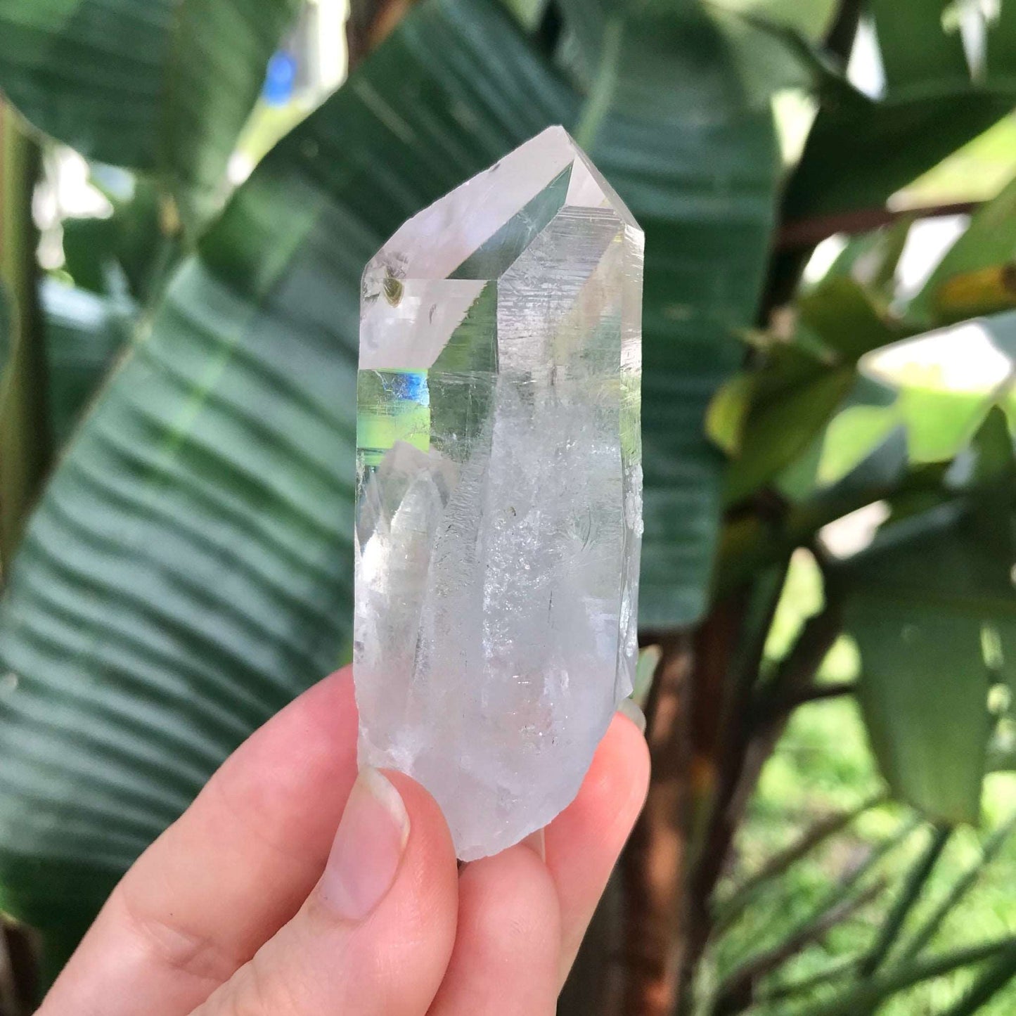 Clear Quartz Crystal with Two Terminated Points