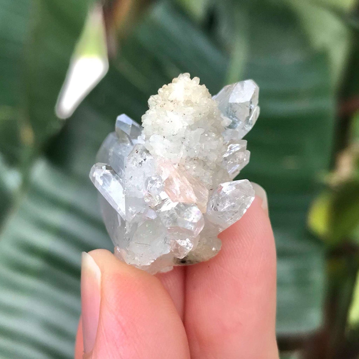 Clear Quartz Crystal Cluster