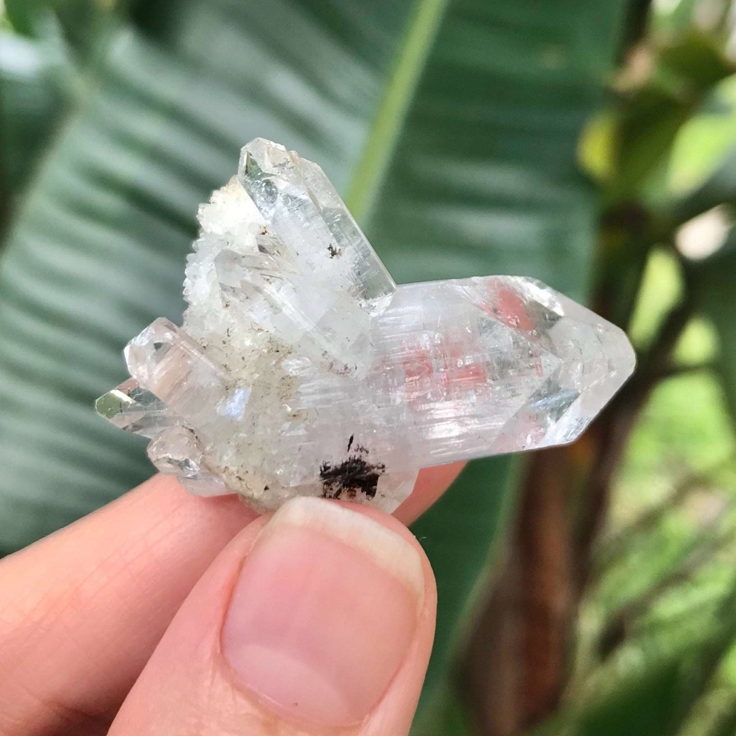 Clear Quartz Crystal Cluster