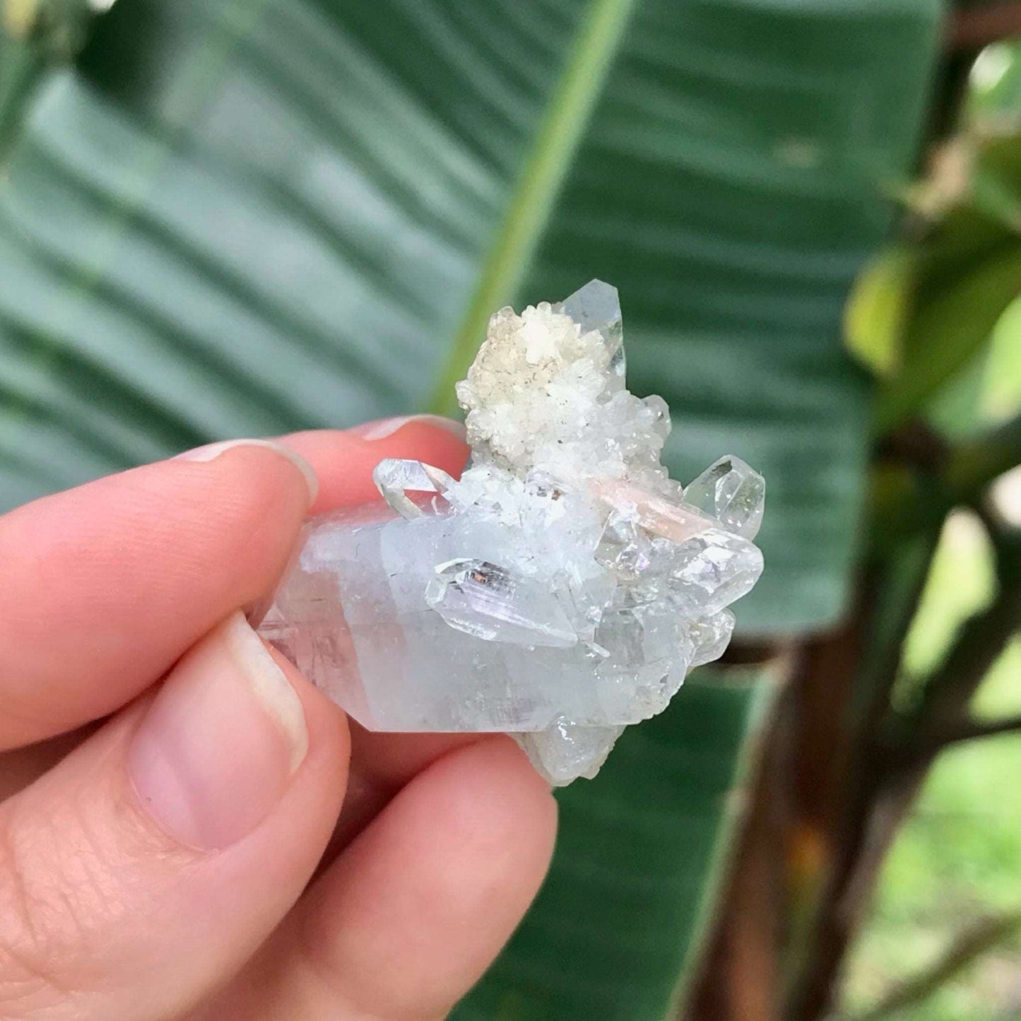 Clear Quartz Crystal Cluster