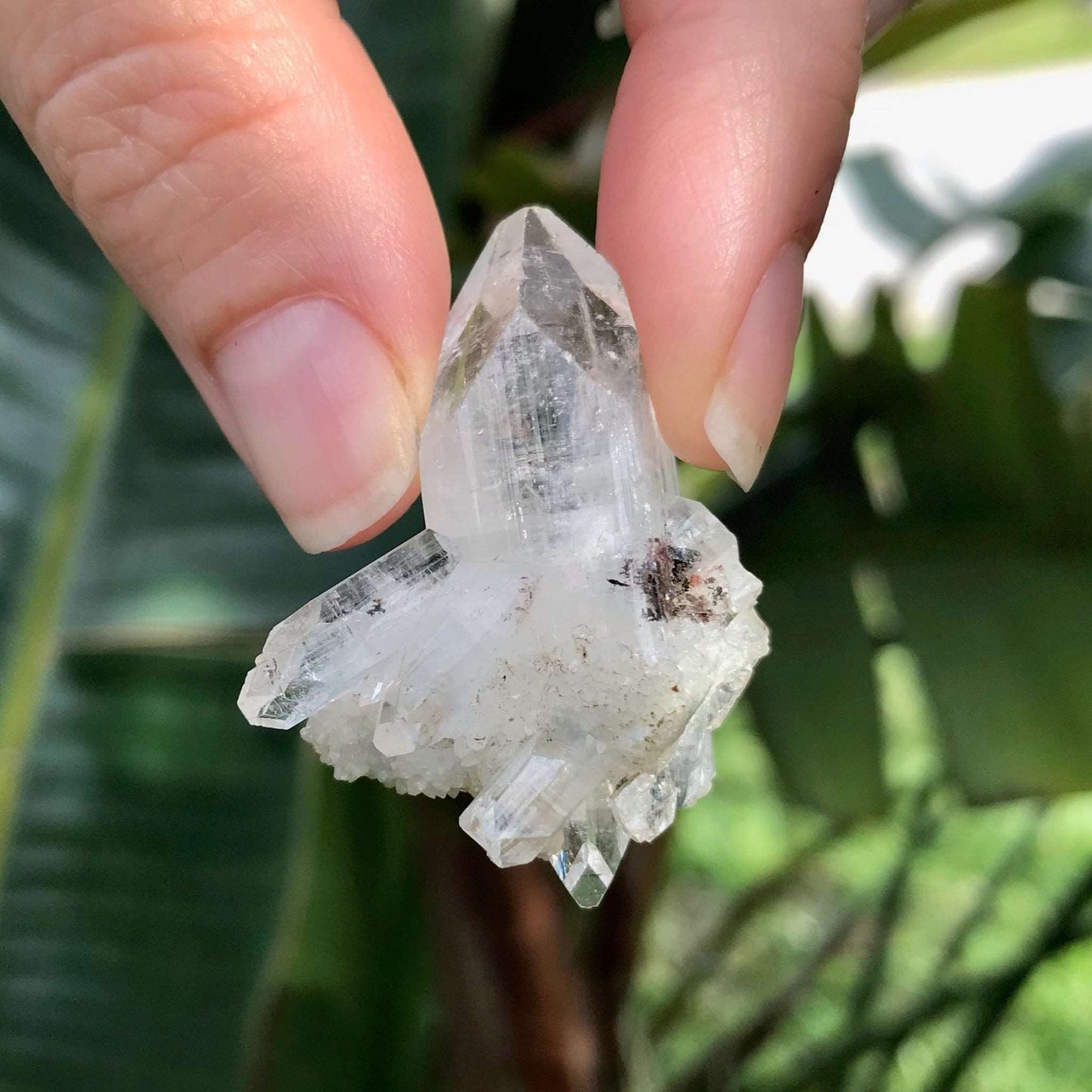 Clear Quartz Crystal Cluster