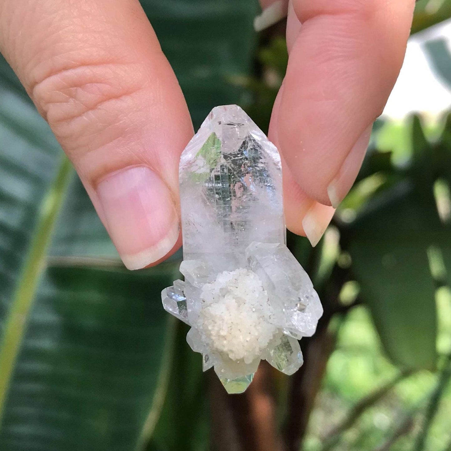 Clear Quartz Crystal Cluster