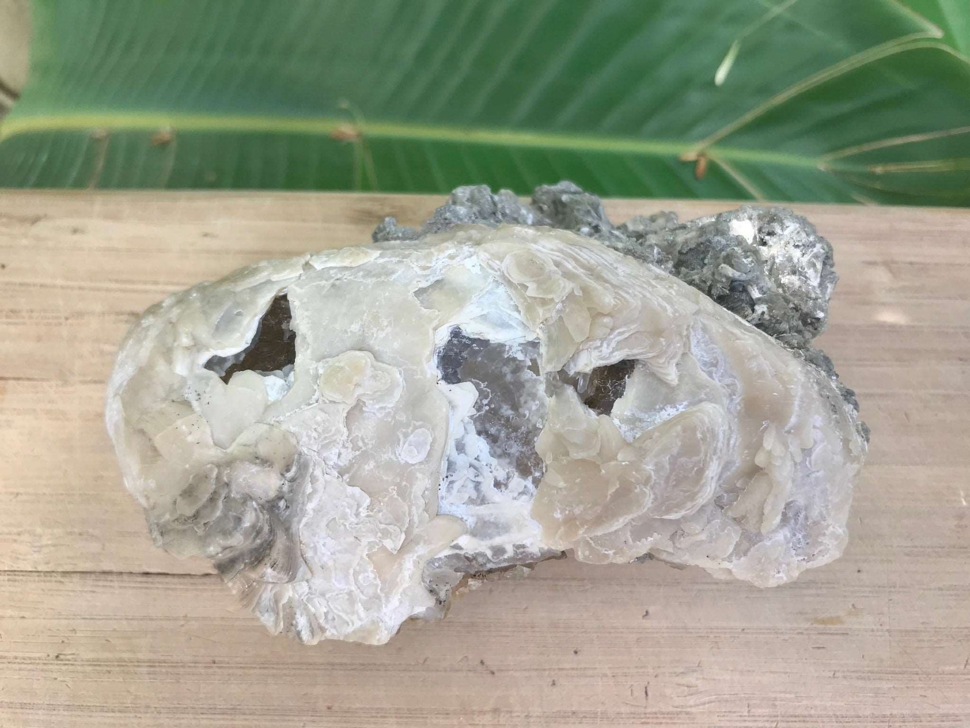 Honey Calcite Crystals in Fossilized Clam Shell