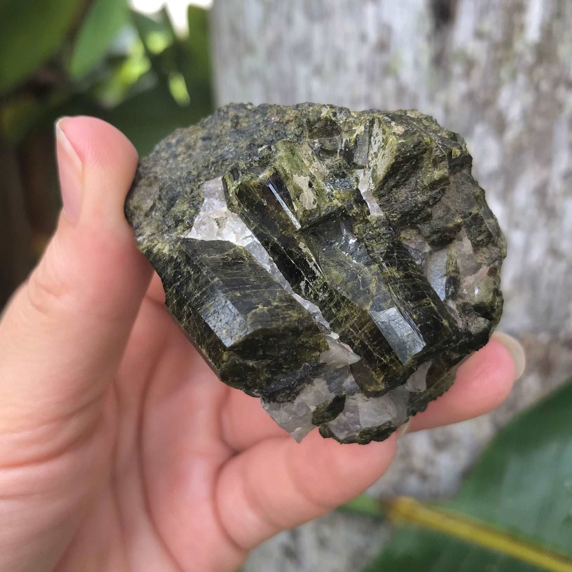 Epidote Crystal Cluster with Quartz