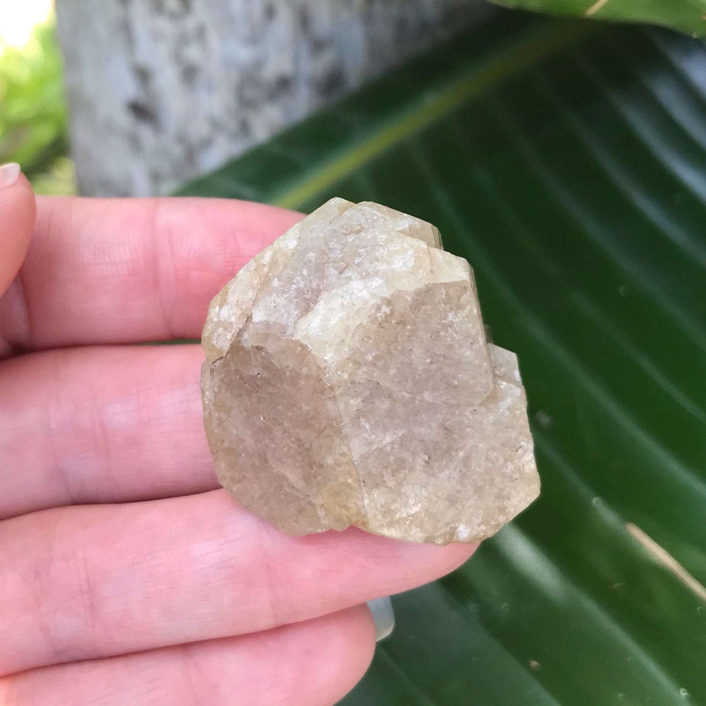 Green Grossular Garnet Crystal - Raw