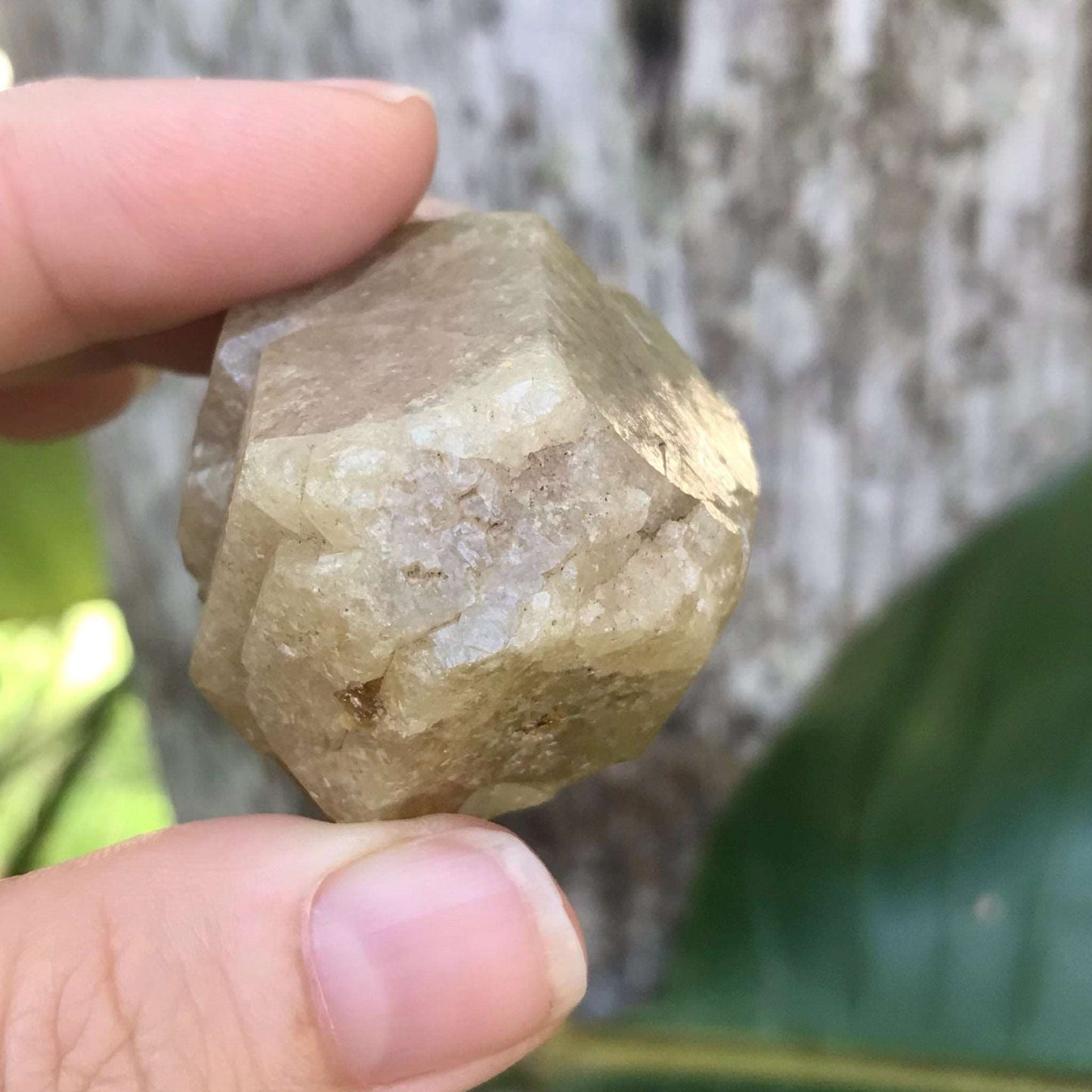 Green Grossular Garnet Crystal - Raw