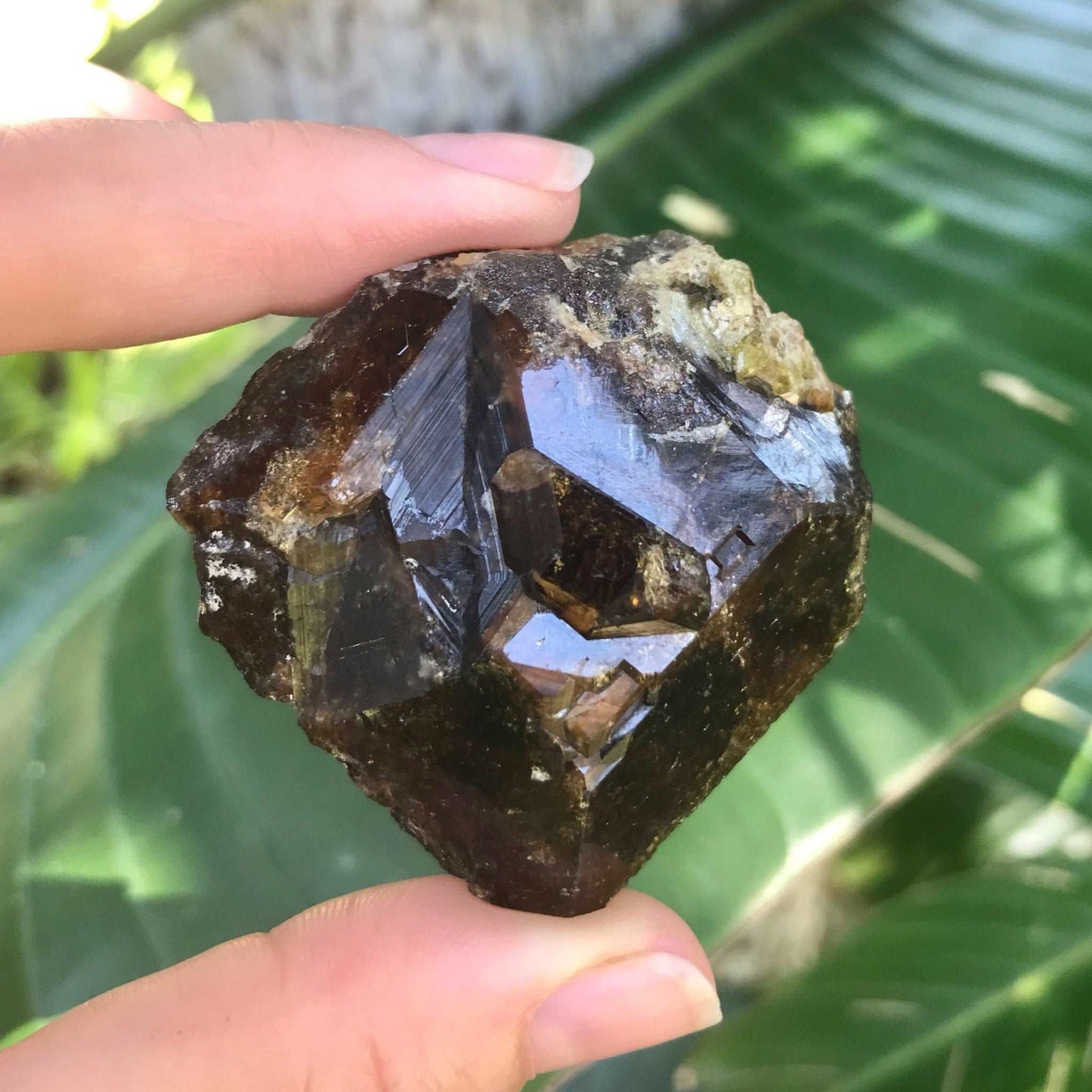 Natural Andradite Garnet Crystal