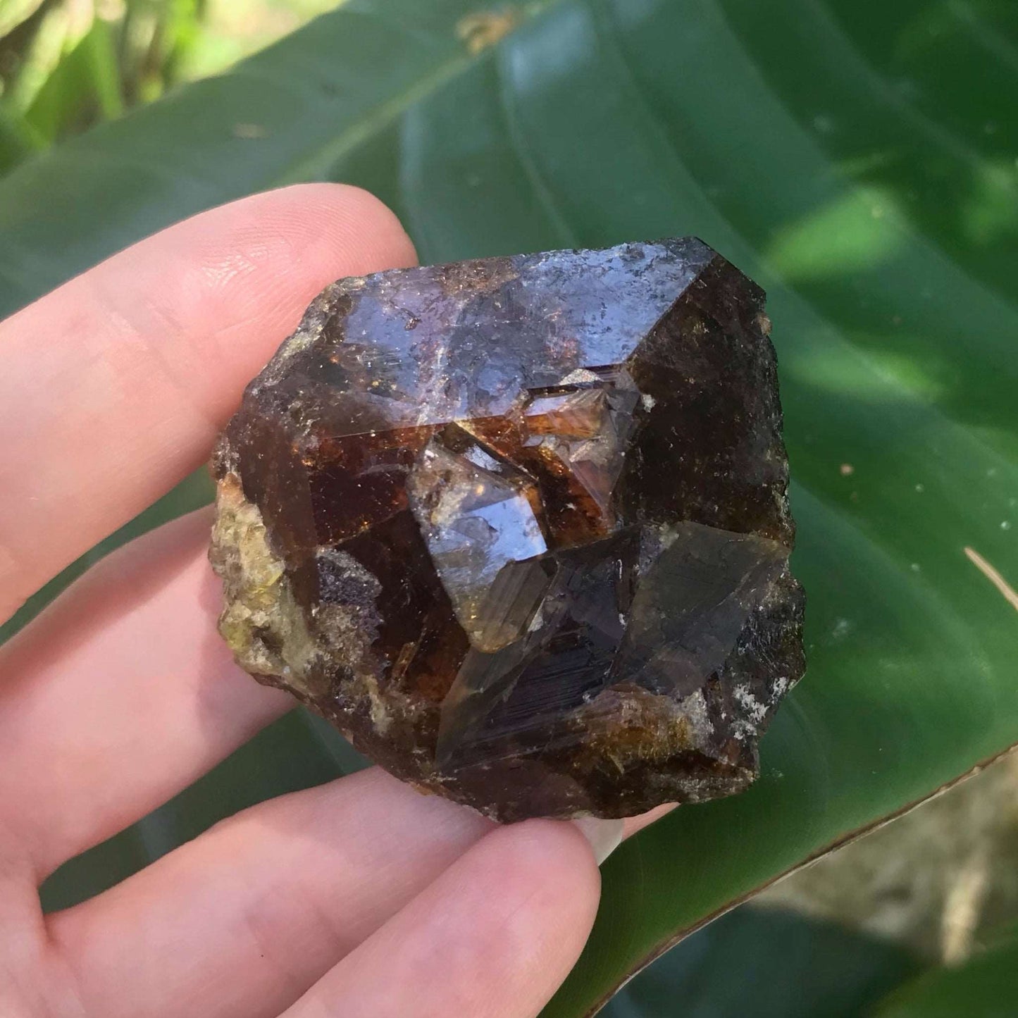 Natural Andradite Garnet Crystal