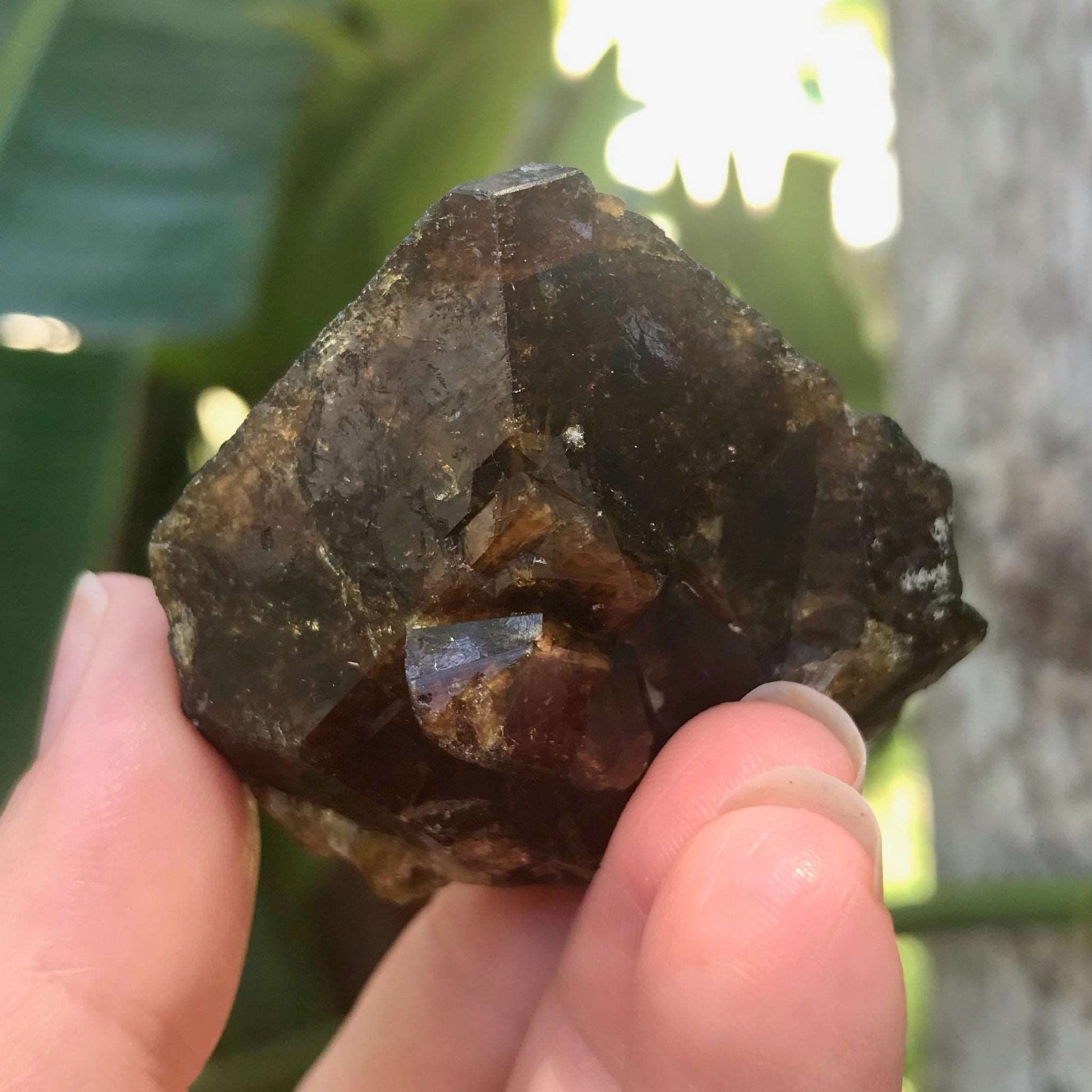 Natural Andradite Garnet Crystal