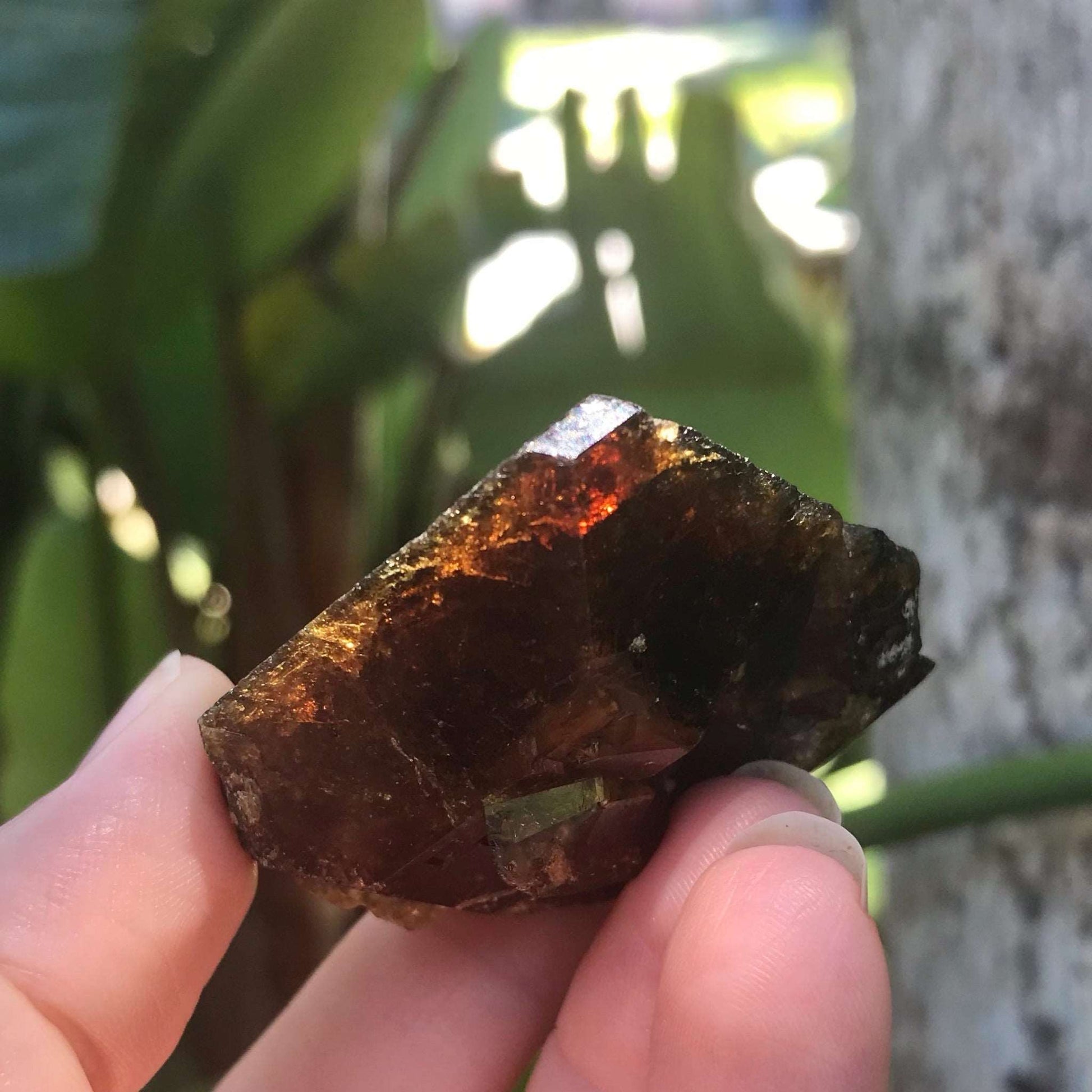 Natural Andradite Garnet Crystal