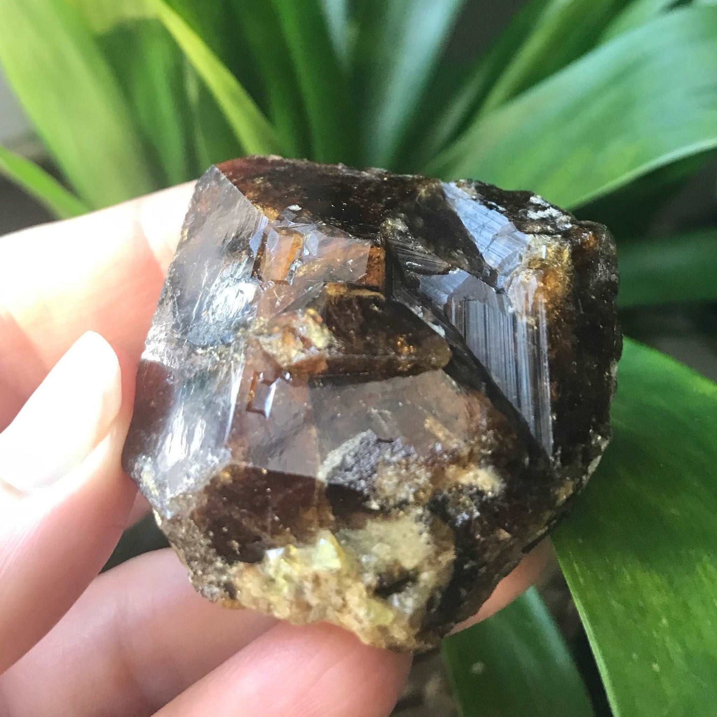 Natural Andradite Garnet Crystal