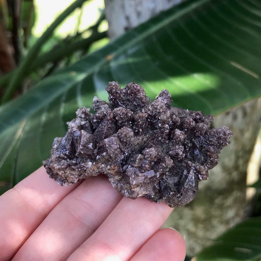 Dogtooth Calcite Crystal Cluster