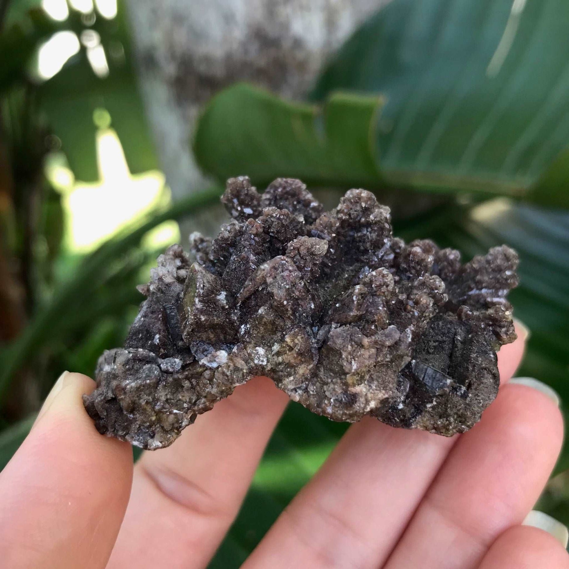 Dogtooth Calcite Crystal Cluster
