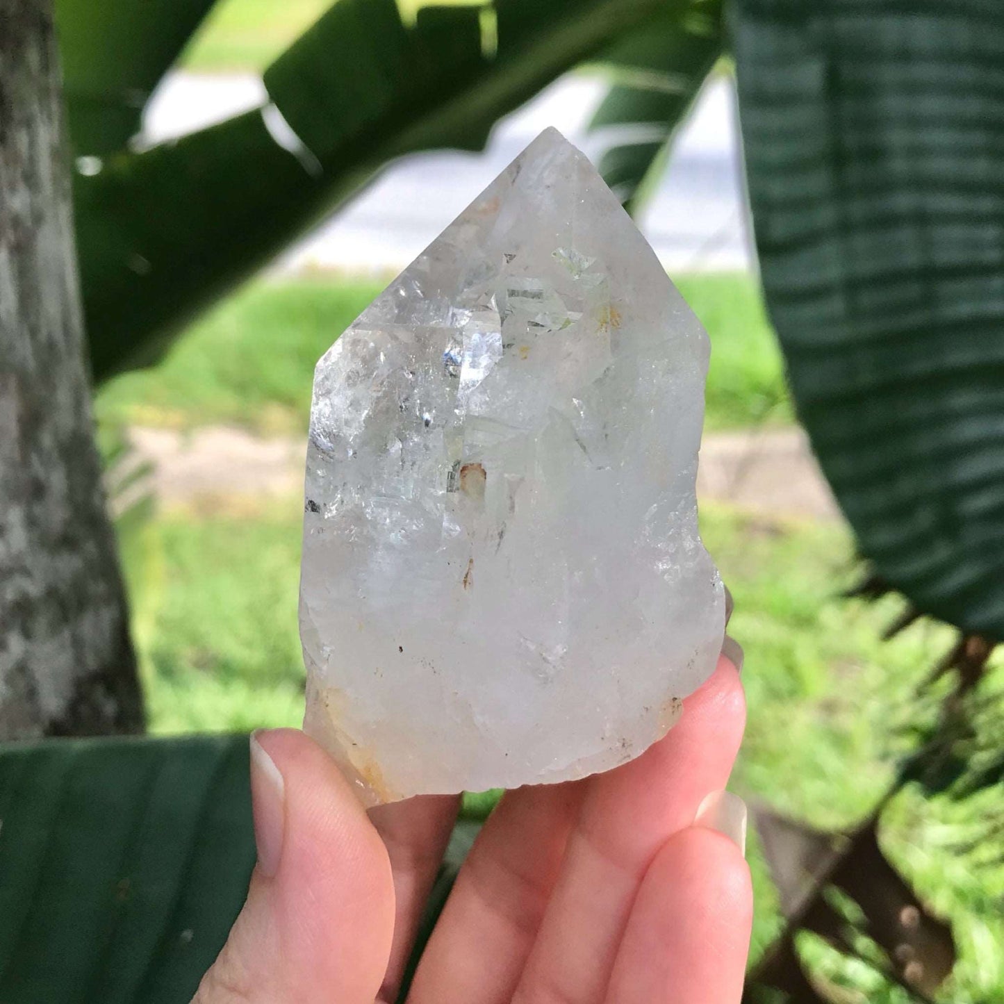 Clear Quartz Crystal with Terminated Point